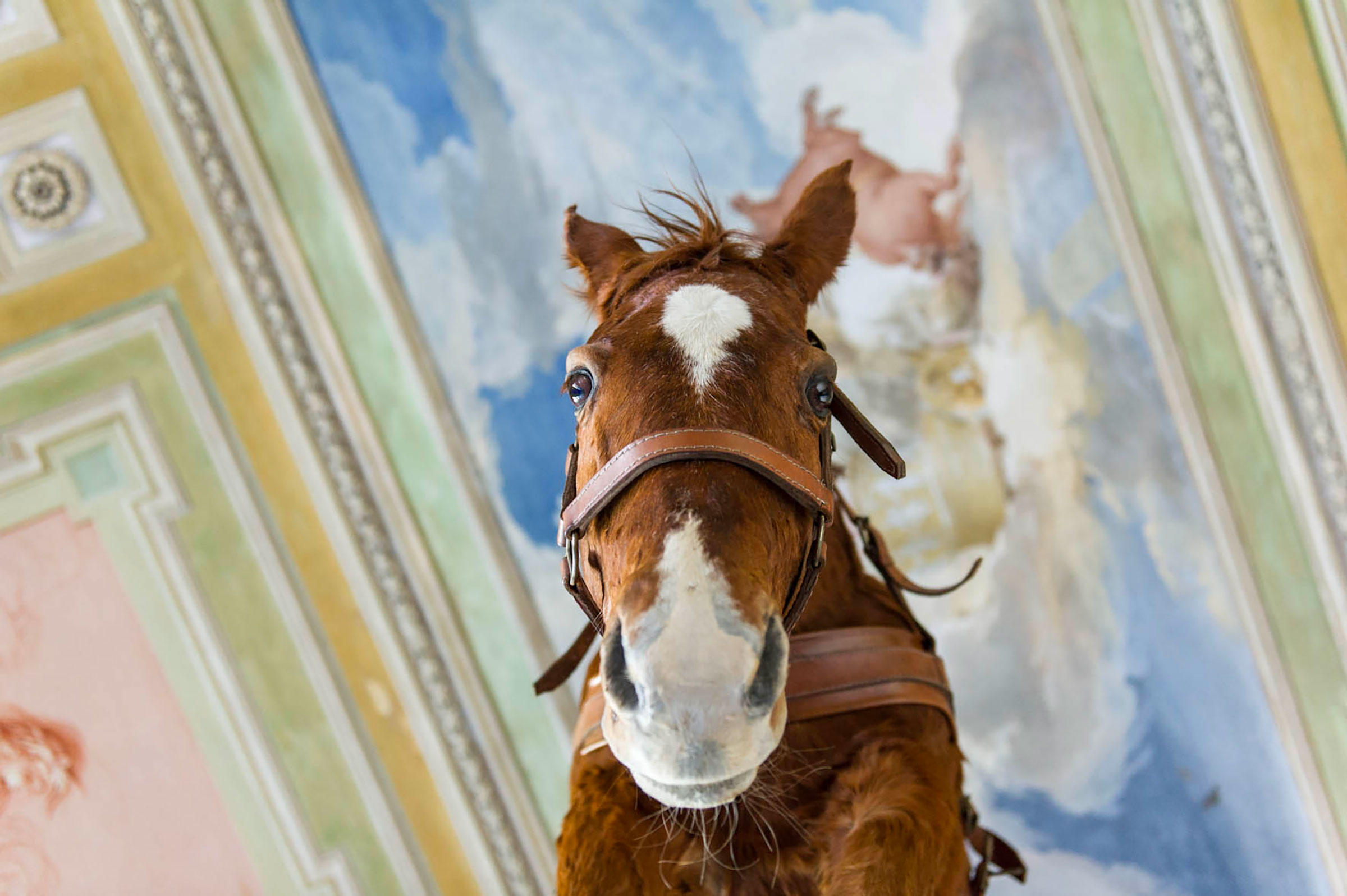 Maurizio Cattelan, Novecento, 1997